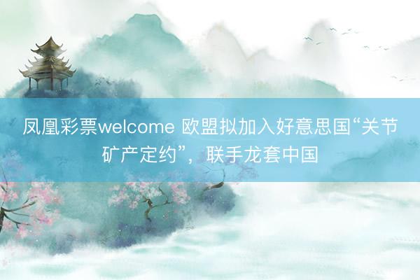 凤凰彩票welcome 欧盟拟加入好意思国“关节矿产定约”，联手龙套中国