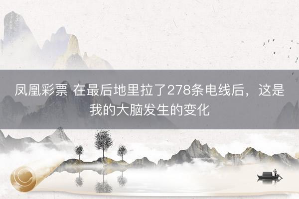 凤凰彩票 在最后地里拉了278条电线后，这是我的大脑发生的变化