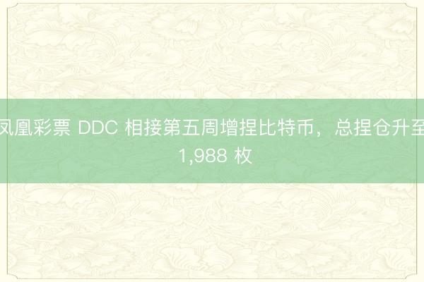 凤凰彩票 DDC 相接第五周增捏比特币，总捏仓升至 1，988 枚