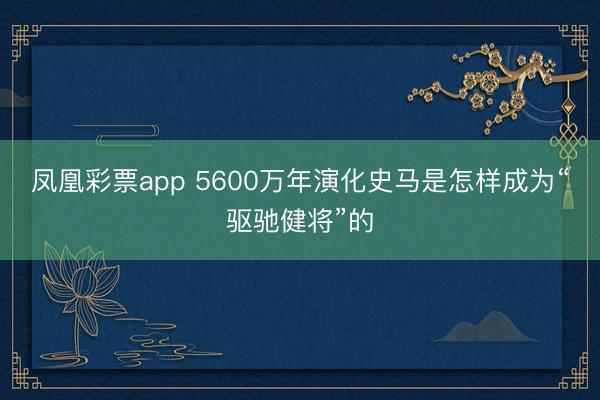 凤凰彩票app 5600万年演化史马是怎样成为“驱驰健将”的