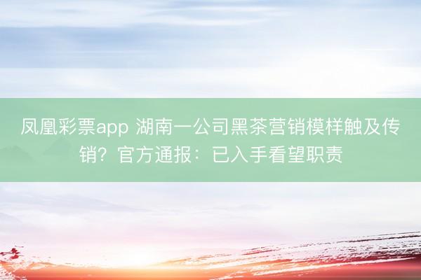 凤凰彩票app 湖南一公司黑茶营销模样触及传销？官方通报：已入手看望职责
