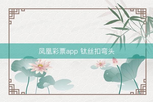 凤凰彩票app 钛丝扣弯头