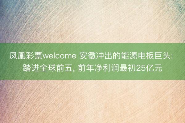 凤凰彩票welcome 安徽冲出的能源电板巨头: 踏进全球前五, 前年净利润最初25亿元