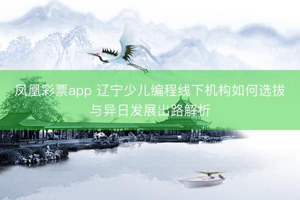 凤凰彩票app 辽宁少儿编程线下机构如何选拔与异日发展出路解析