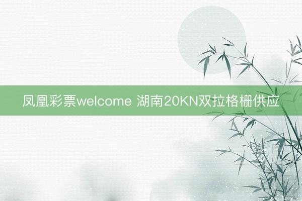 凤凰彩票welcome 湖南20KN双拉格栅供应