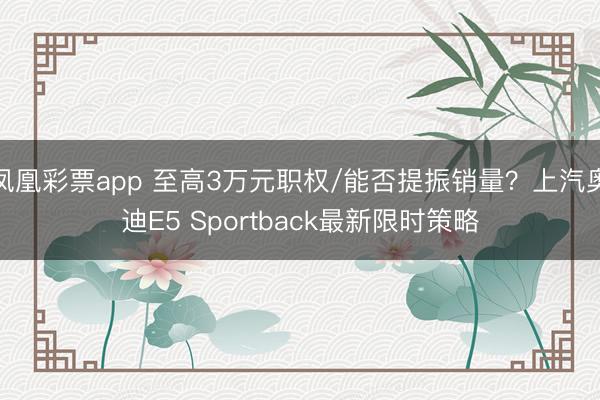 凤凰彩票app 至高3万元职权/能否提振销量？上汽奥迪E5 Sportback最新限时策略
