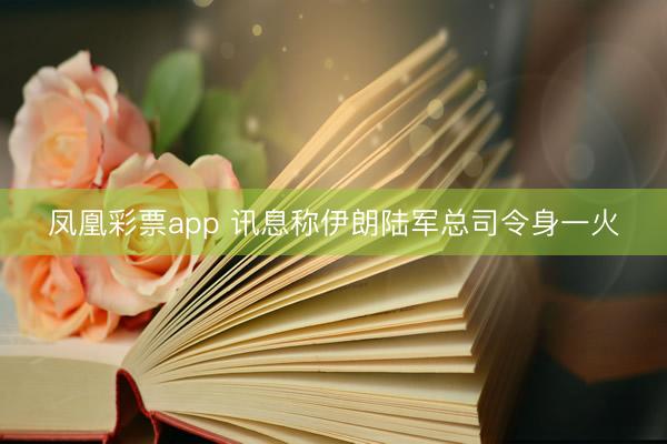 凤凰彩票app 讯息称伊朗陆军总司令身一火