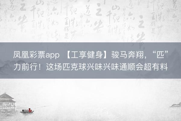 凤凰彩票app 【工享健身】骏马奔翔,“匹”力前行!这场匹克球兴味兴味通顺会超有料
