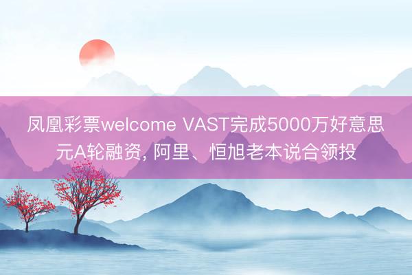 凤凰彩票welcome VAST完成5000万好意思元A轮融资， 阿里、恒旭老本说合领投