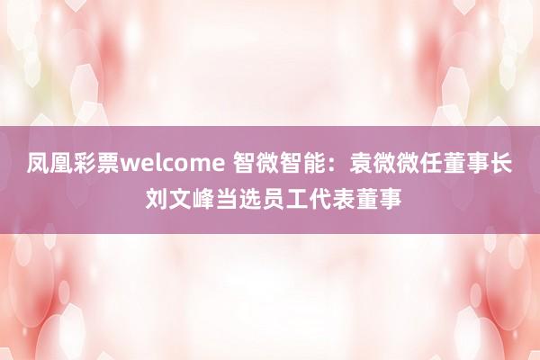 凤凰彩票welcome 智微智能：袁微微任董事长 刘文峰当选员工代表董事