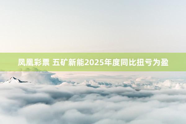 凤凰彩票 五矿新能2025年度同比扭亏为盈