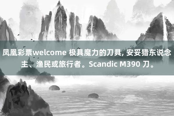 凤凰彩票welcome 极具魔力的刀具， 安妥猎东说念主、渔民或旅行者。Scandic M390 刀。