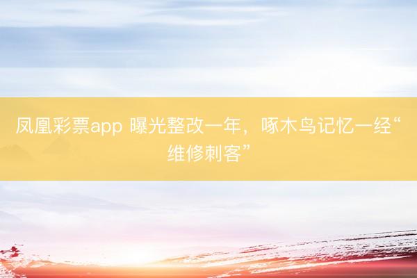 凤凰彩票app 曝光整改一年，啄木鸟记忆一经“维修刺客”