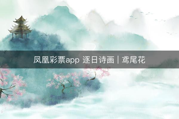 凤凰彩票app 逐日诗画 | 鸢尾花