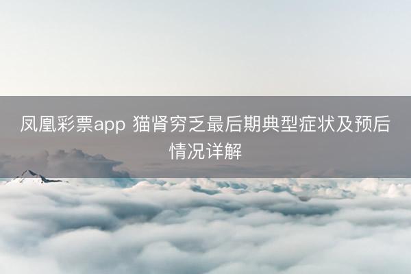 凤凰彩票app 猫肾穷乏最后期典型症状及预后情况详解