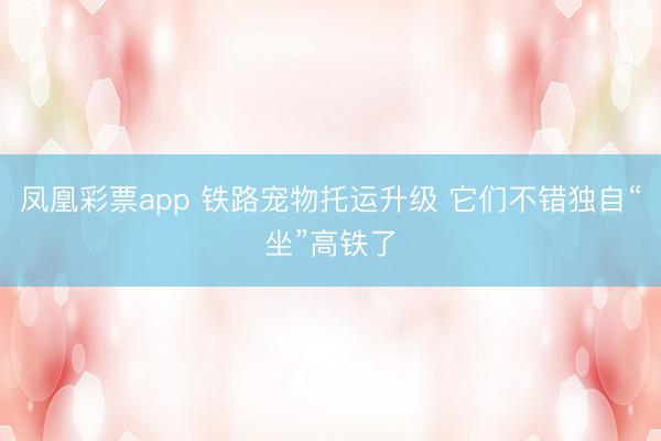 凤凰彩票app 铁路宠物托运升级 它们不错独自“坐”高铁了