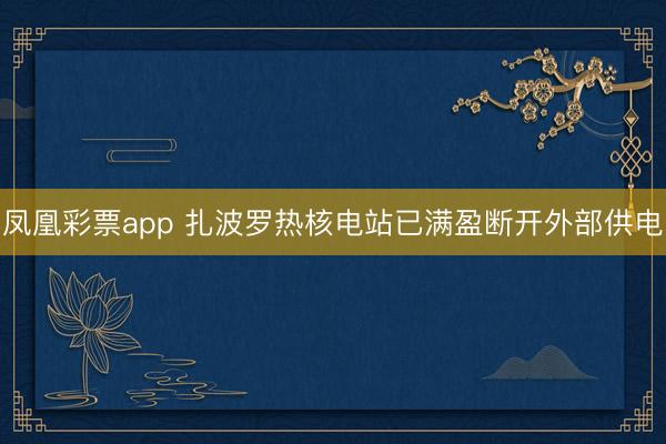 凤凰彩票app 扎波罗热核电站已满盈断开外部供电