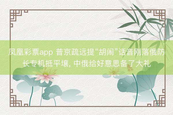 凤凰彩票app 普京疏远提“胡闹”话音刚落俄防长专机抵平壤， 中俄给好意思备了大礼