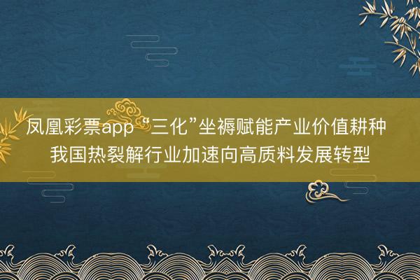凤凰彩票app “三化”坐褥赋能产业价值耕种 我国热裂解行业加速向高质料发展转型