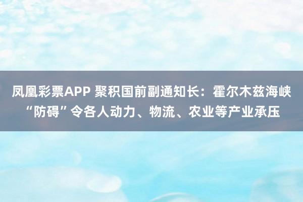 凤凰彩票APP 聚积国前副通知长：霍尔木兹海峡“防碍”令各人动力、物流、农业等产业承压
