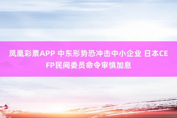 凤凰彩票APP 中东形势恐冲击中小企业 日本CEFP民间委员命令审慎加息