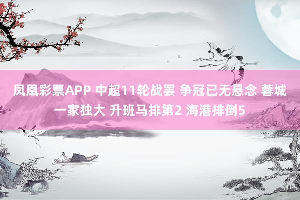 凤凰彩票APP 中超11轮战罢 争冠已无悬念 蓉城一家独大 升班马排第2 海港排倒5