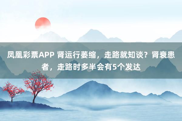 凤凰彩票APP 肾运行萎缩,走路就知谈?肾衰患者,走路时多半会有5个发达