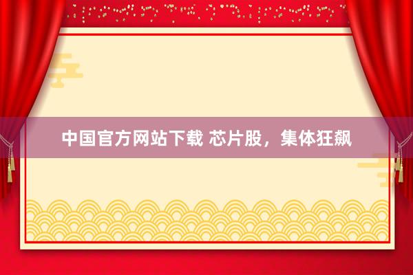 中国官方网站下载 芯片股，集体狂飙