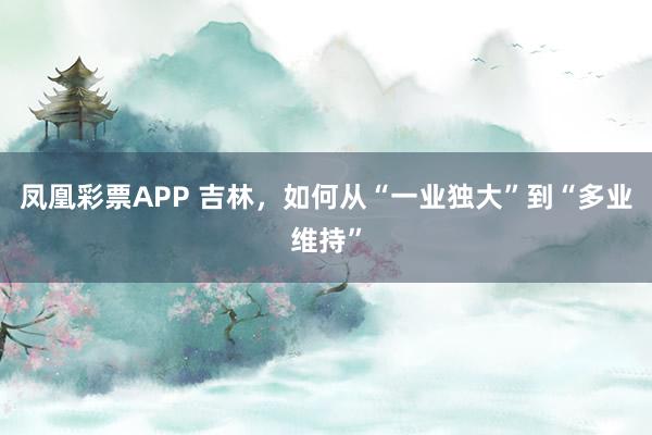 凤凰彩票APP 吉林，如何从“一业独大”到“多业维持”