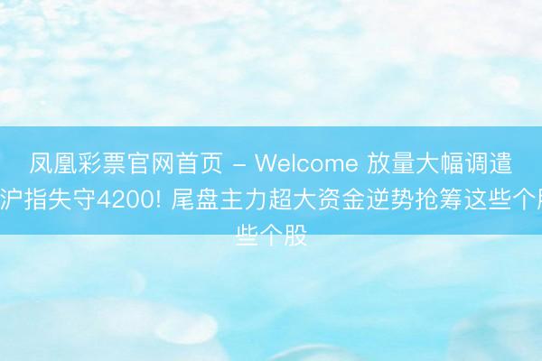 凤凰彩票官网首页 - Welcome 放量大幅调遣! 沪指失守4200! 尾盘主力超大资金逆势抢筹这些个股