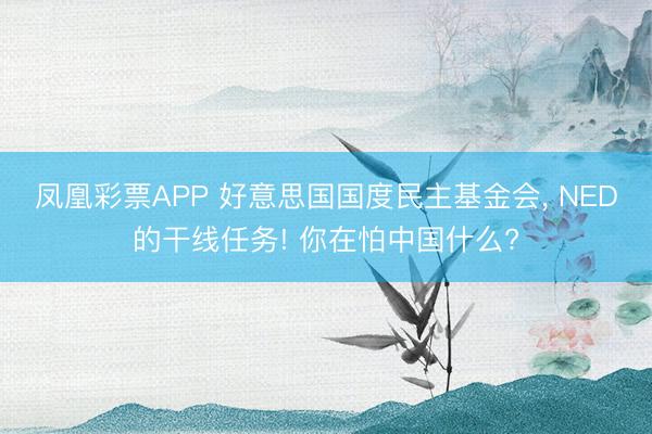 凤凰彩票APP 好意思国国度民主基金会， NED的干线任务! 你在怕中国什么?