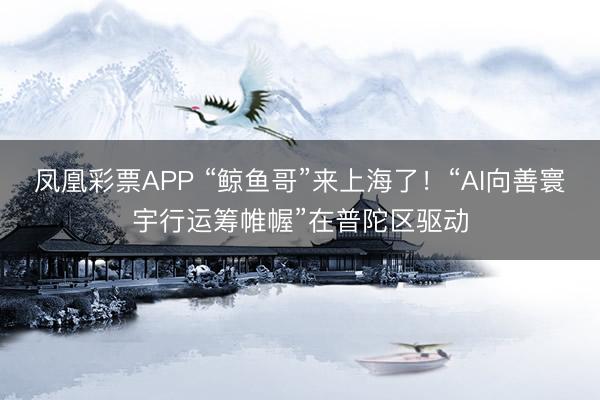 凤凰彩票APP “鲸鱼哥”来上海了！“AI向善寰宇行运筹帷幄”在普陀区驱动