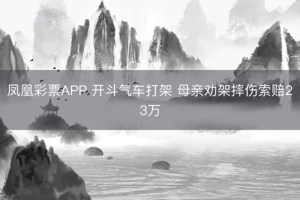 凤凰彩票APP 开斗气车打架 母亲劝架摔伤索赔23万