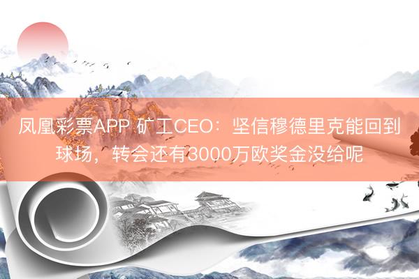 凤凰彩票APP 矿工CEO：坚信穆德里克能回到球场，转会还有3000万欧奖金没给呢