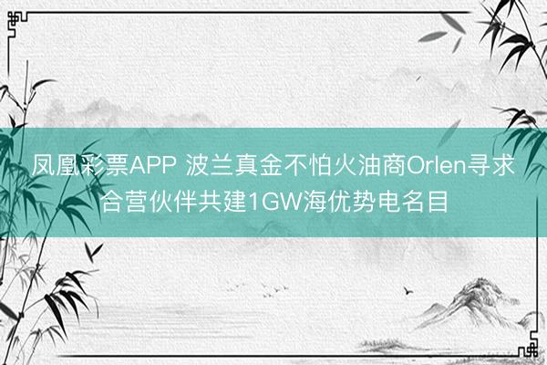 凤凰彩票APP 波兰真金不怕火油商Orlen寻求合营伙伴共建1GW海优势电名目