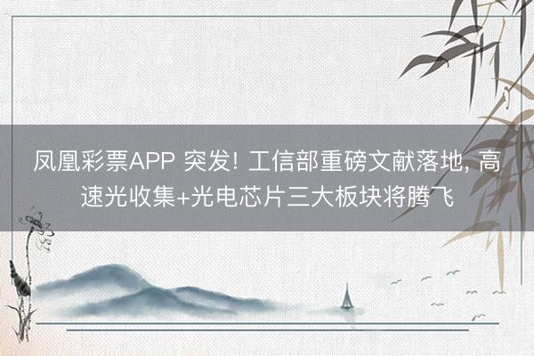 凤凰彩票APP 突发! 工信部重磅文献落地， 高速光收集+光电芯片三大板块将腾飞