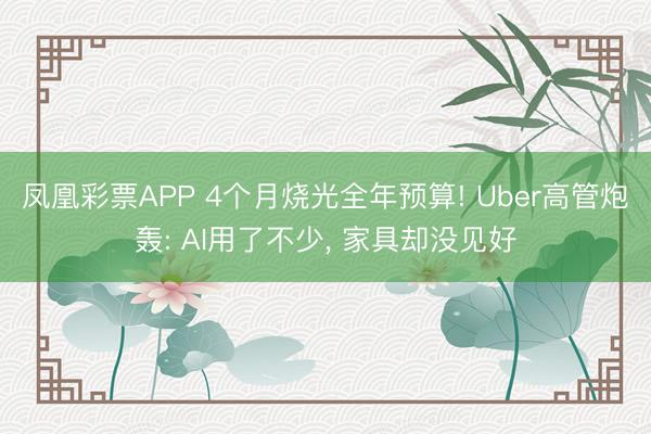 凤凰彩票APP 4个月烧光全年预算! Uber高管炮轰: AI用了不少， 家具却没见好