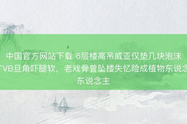中国官方网站下载 6层楼高吊威亚仅垫几块泡沫！TVB旦角吓腿软，老戏骨曾坠楼失忆险成植物东说念主