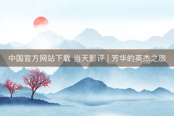 中国官方网站下载 当天影评 | 芳华的英杰之旅