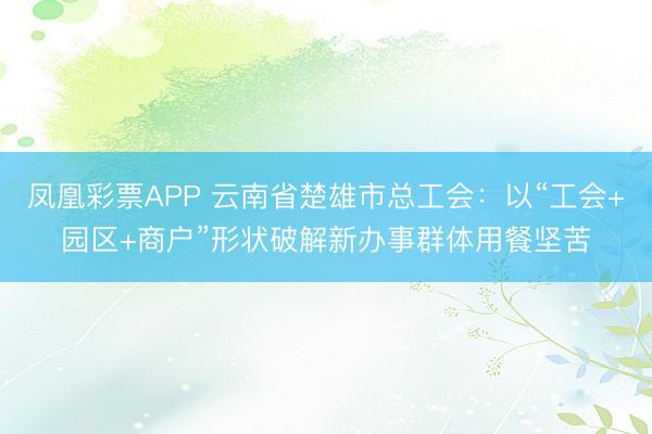 凤凰彩票APP 云南省楚雄市总工会：以“工会+园区+商户”形状破解新办事群体用餐坚苦
