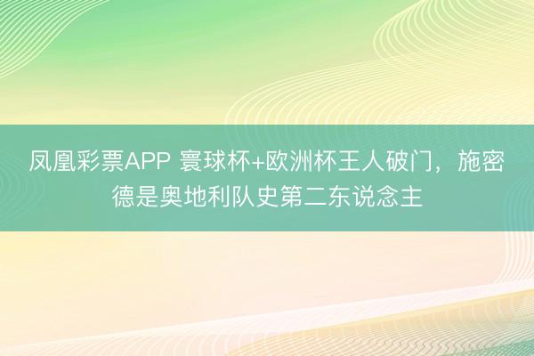 凤凰彩票APP 寰球杯+欧洲杯王人破门，施密德是奥地利队史第二东说念主
